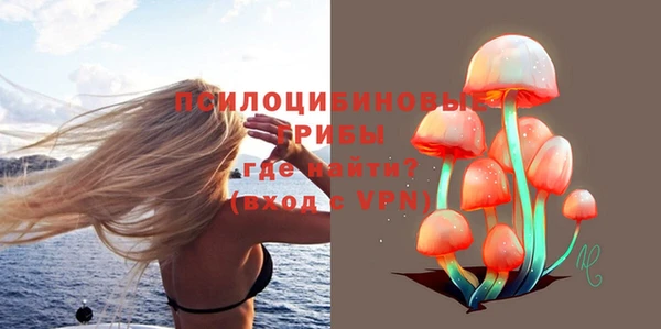 твердый Абаза