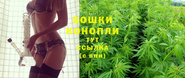 ГАЛЛЮЦИНОГЕННЫЕ ГРИБЫ Алексеевка