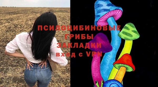 mdpv Алексин