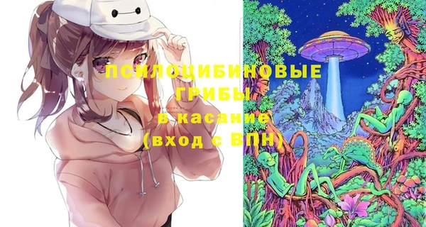 ГАЛЛЮЦИНОГЕННЫЕ ГРИБЫ Алексеевка
